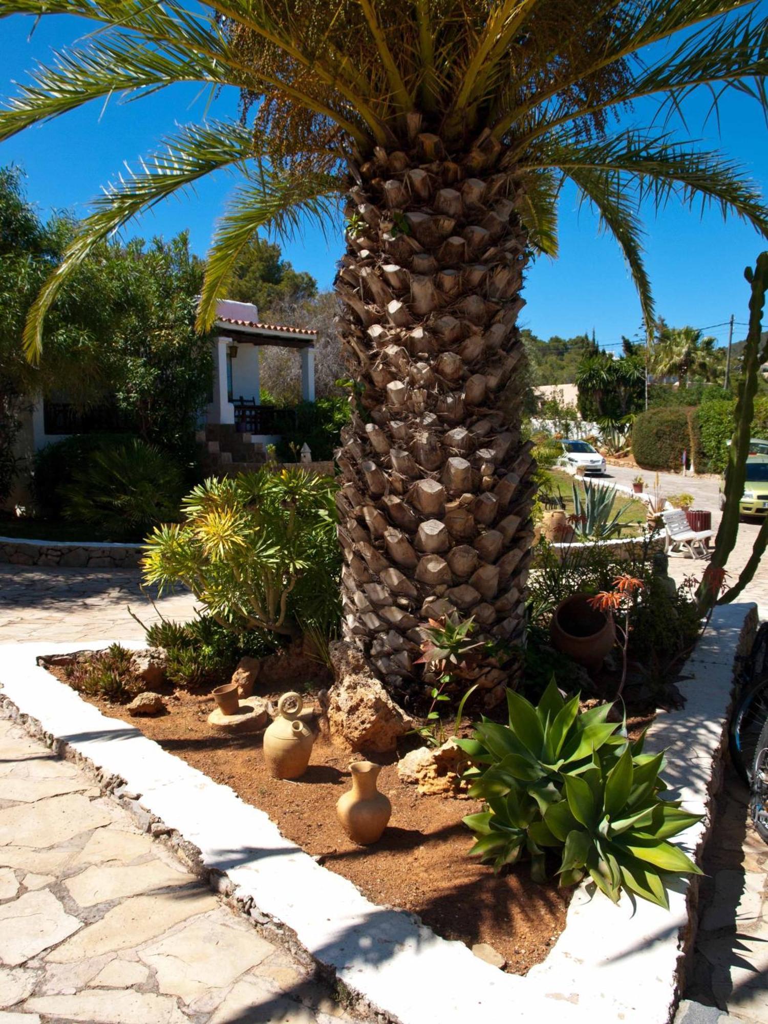 Club Can Jordi Hotel Cala Llenya (Ibiza)